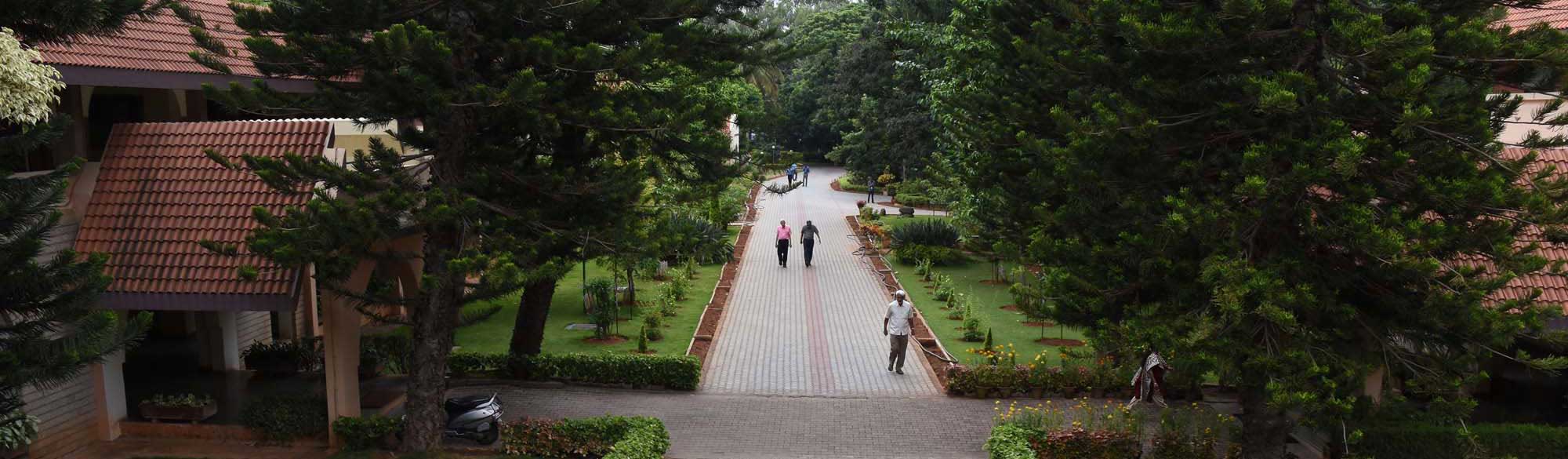 Academics Banner